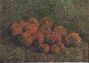 Still Life with Apples Vincent Van Gogh